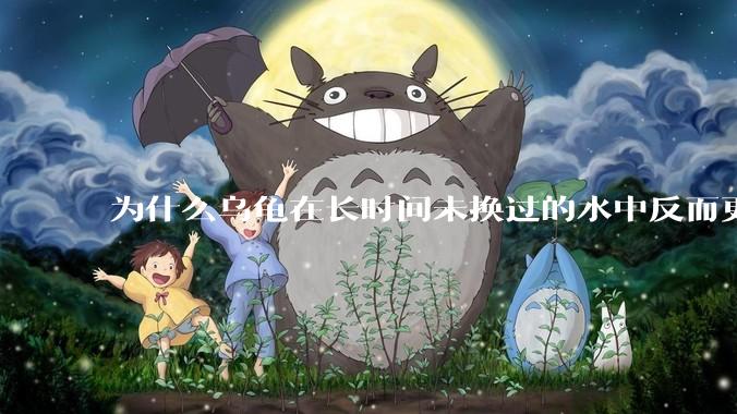 为什么乌龟在长时间未换过的水中反而更活跃？