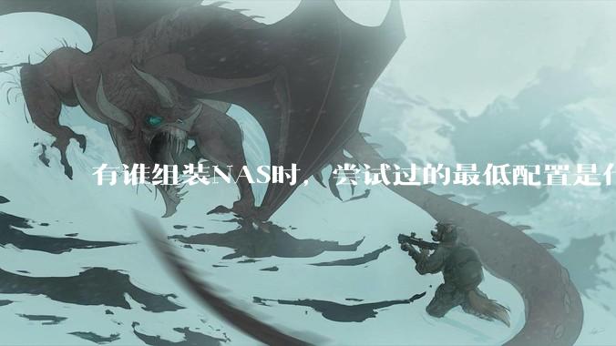 有谁组装NAS时，尝试过的最低配置是什么？